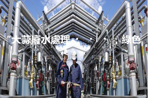 “大蒜廢水處理，綠色環(huán)保新篇章”